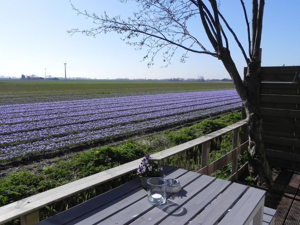 Appels En Peren Bed And Breakfast Breezand Ruang foto