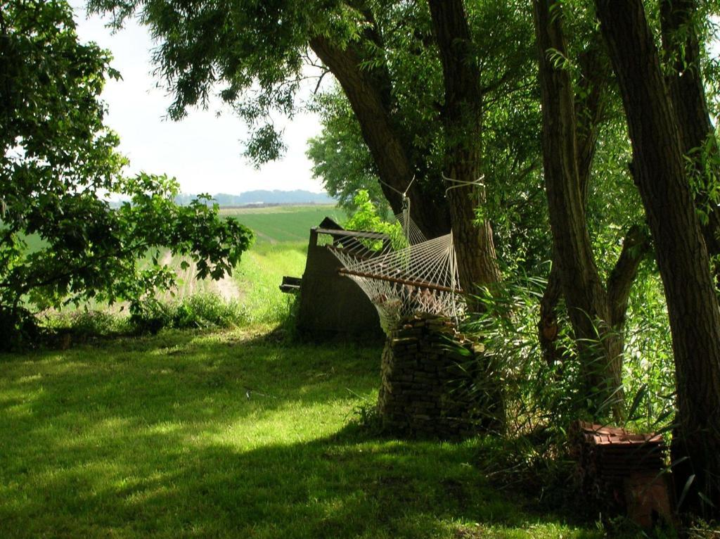 Appels En Peren Bed And Breakfast Breezand Ruang foto