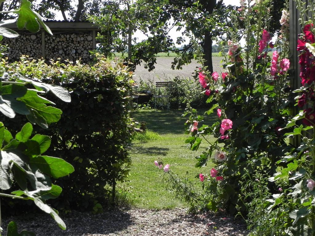 Appels En Peren Bed And Breakfast Breezand Ruang foto