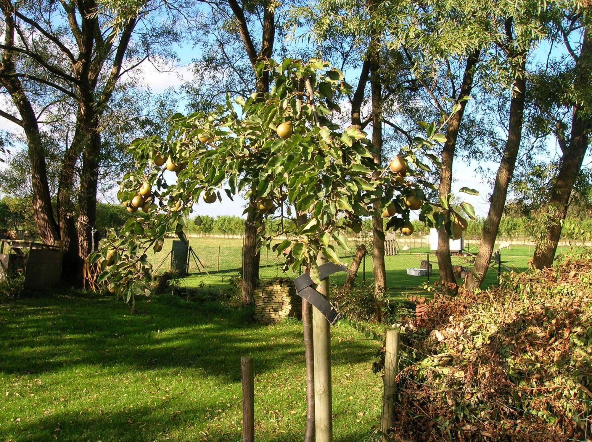 Appels En Peren Bed And Breakfast Breezand Bagian luar foto