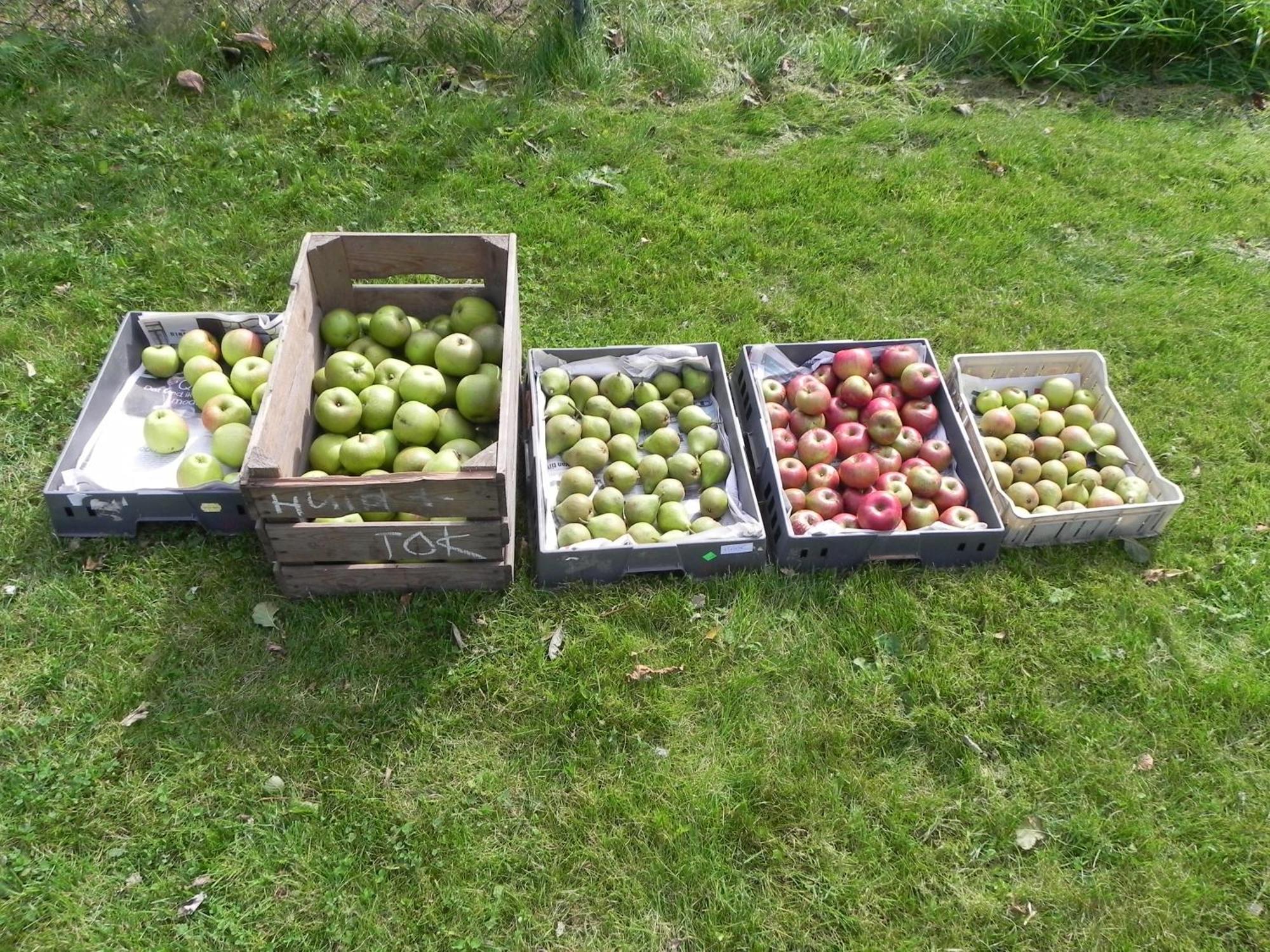 Appels En Peren Bed And Breakfast Breezand Bagian luar foto