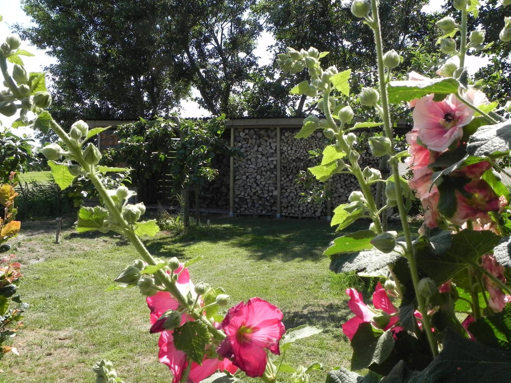 Appels En Peren Bed And Breakfast Breezand Ruang foto