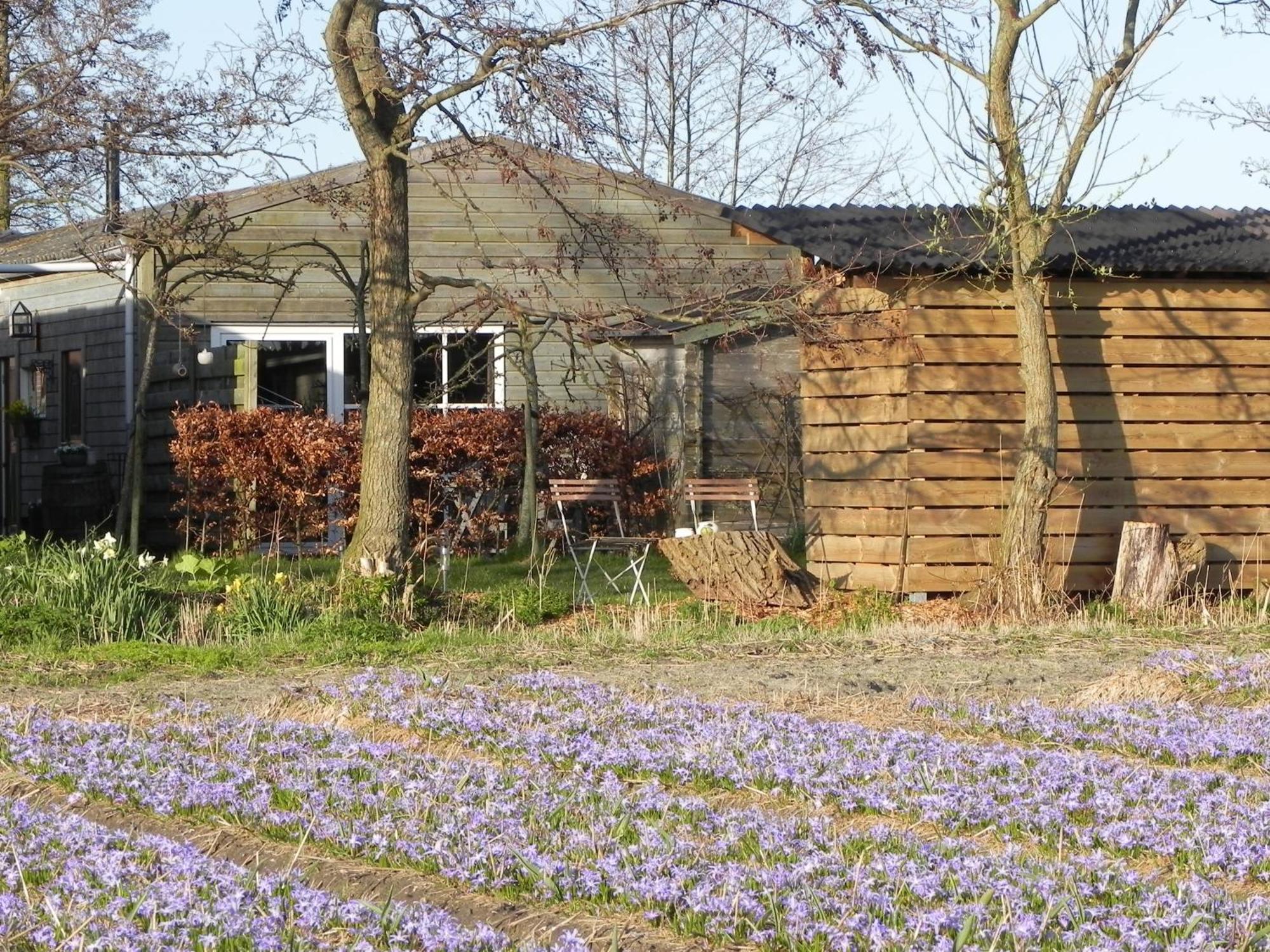 Appels En Peren Bed And Breakfast Breezand Ruang foto