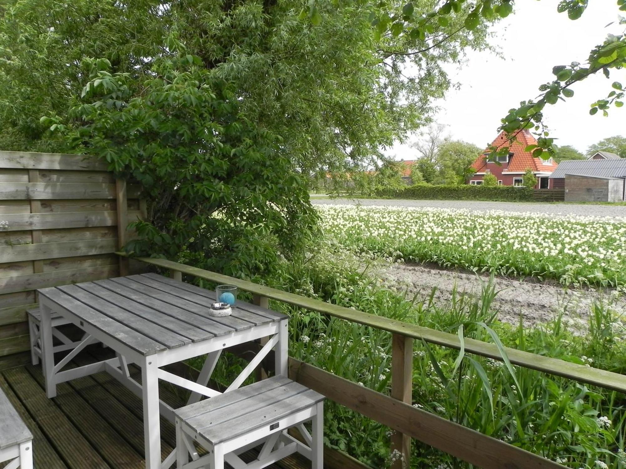 Appels En Peren Bed And Breakfast Breezand Ruang foto