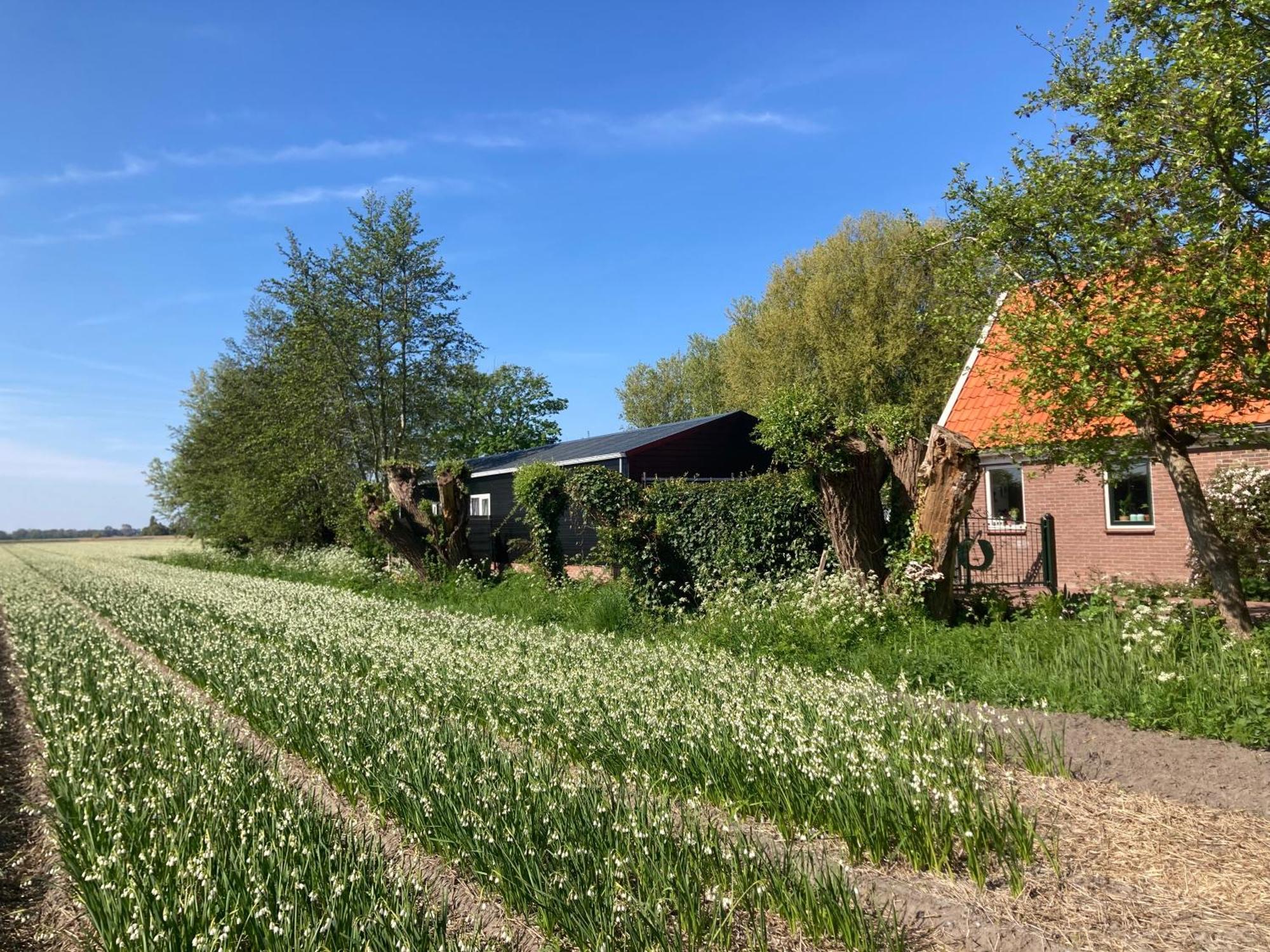 Appels En Peren Bed And Breakfast Breezand Bagian luar foto