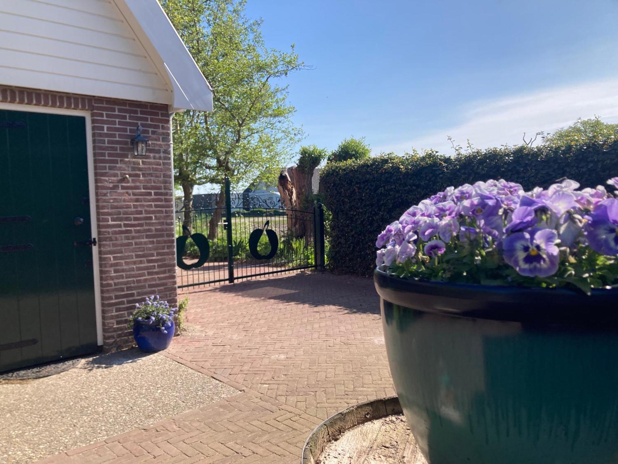 Appels En Peren Bed And Breakfast Breezand Bagian luar foto