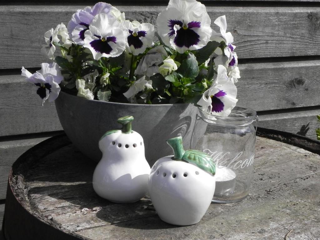 Appels En Peren Bed And Breakfast Breezand Bagian luar foto